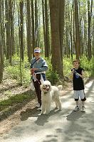 NAMIWalk07 (390) 